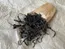 product image - 蜜香红茶 - MìXiāng HóngChá