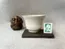 product image - 茶杯 - CháBēi - small Bowl